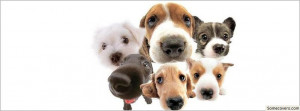 Facebook Cover Funny Dogs Faces