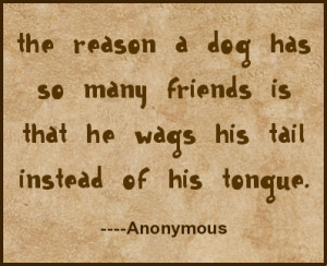 There is no psychiatrist in the world like a puppy licking your face.