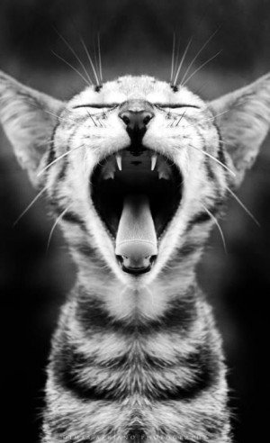 21 Boredom Busting Quotes