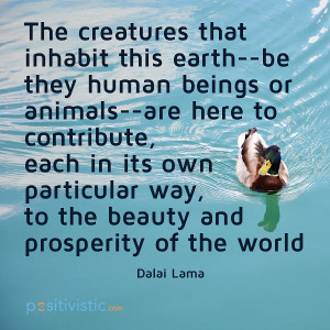 ... dalai lama creatures humans animals beauty prosperity world wisdom