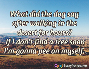 What did the dog say after walking in the desert for hours?