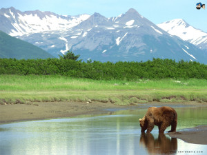 Funny Quotes Contact Dmca...