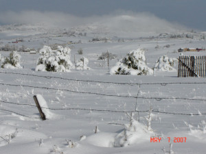 HATE this weather! (Denver, Parker: short sale, foreclosure, lease)