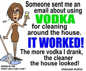Using Vodka to clean house
