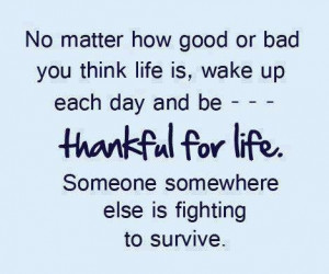 Funny Quotes Contact Dmca...