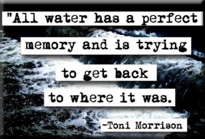 Toni Morrison Water Quote Magnet or Pocket Mirror by chicalookate, $4 ...