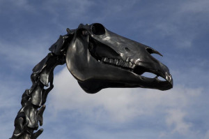 Skeleton horse erected in London's Trafalgar Square - AM 1070 The ...
