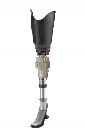 Bk Prosthesis