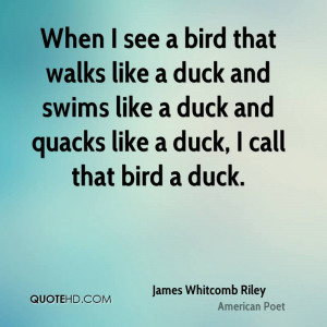 duck and swims like a duck and quacks like a duck i call that bird a ...