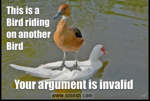 Posted: Fri, 7/29/2011 - 8:05pm by Editor