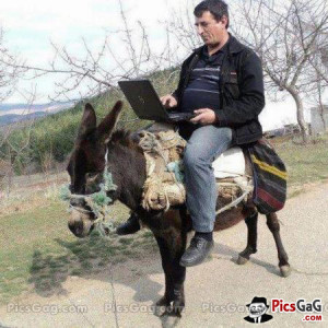Laptop Man On Donkey Funny