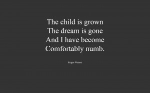 Roger Waters – Comfortably Numb Quote