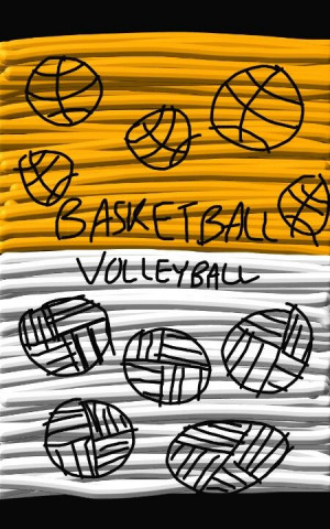 Basketball and Volleyball