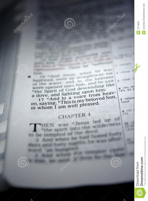 Picture of Bible Verse Matthew 3:17 with narrow focus.