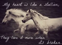 ... My heart is like a stallion, they love it more when it's broken.
