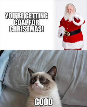 grumpy cat christmas pictures, you are getting coal for christmas