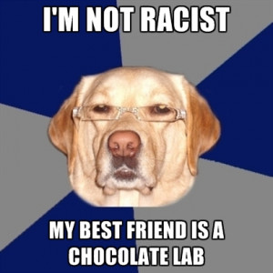 Not Racist My Best Friend Is A Chocolate Lab