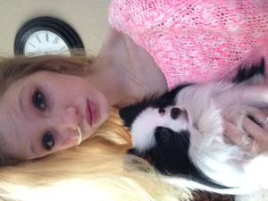 akc pomeranian for stud