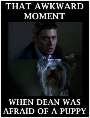 That Awkward Moment....when Dean Winchester was afraid of a puppy ...