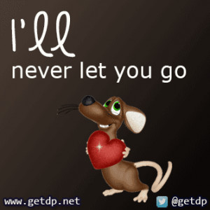 ll never let you go