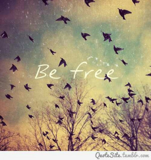 Fly just like a bird