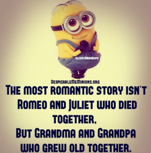 Minion-Quotes-The-most-romantic-story.jpg