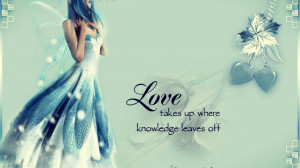 Fairy with quotes love takes up where off HD Wallpaper