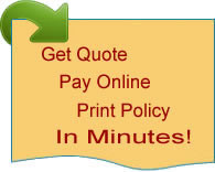 quoting system provides insurance quotes from all four of our Mexican ...