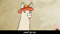 Quote Part 2 - Llamas with Hats Picture