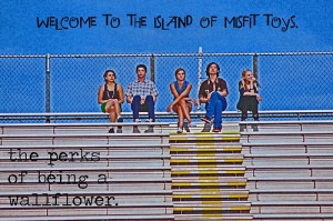 welcome to the island of misfit toys | perks