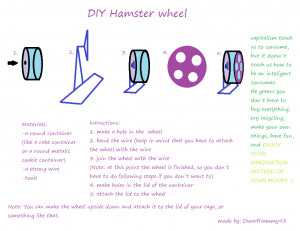 DIY Hamster Wheel (with images)