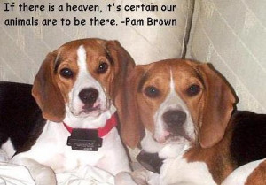 dogs in heaven tags quote quotes dog dogs dog quotes dogs quotes