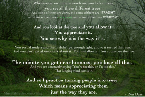 practice turning people into trees which means appreciating them ...