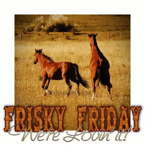 Frisky Friday, MySpace Comments