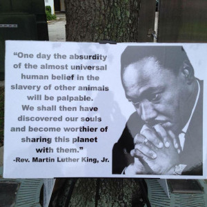 Animal quote by Martin Luther King, jr.Animal Quotes, Favorite Quotes ...