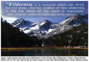 Rock Creek Canyon, John Muir Wilderness. with Leopold quote
