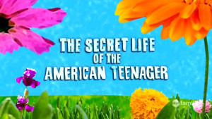 Watch The Secret Life of the American Teenager Online