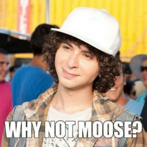 Moose from step up!! :-)