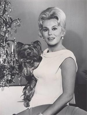 ... terrier seen on the rural comedy series GREEN ACRES/CBS/1965-71
