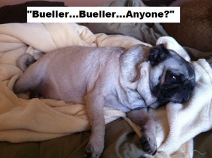 Cute Pug Quotes Memorable '80s Movies