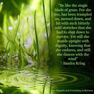 single blade of grass