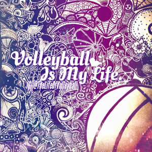 Volleyball Quotes Tumblr Volleyball ball tumblr.