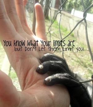 Email This BlogThis! Share to Twitter Share to Facebook