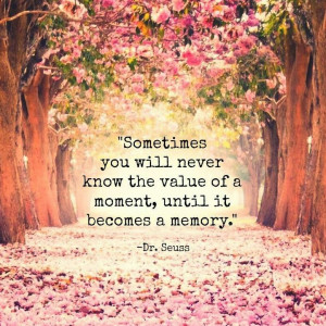 Sometimes you will never know the value of a moment, until it becomes ...