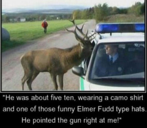 Pinned by Kelly Wilkerson