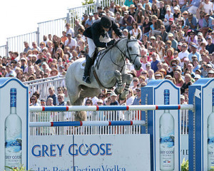 Horse Racing Photos - Show Jumping - Common show jumping tack: jumping ...