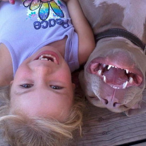 24 Pictures That Prove Pit Bulls Are Nothing but Big Softies