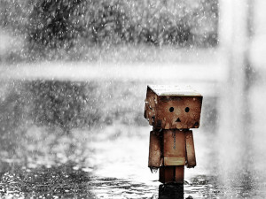 Sad Boxman Under Heavy Rain HD Wallpaper