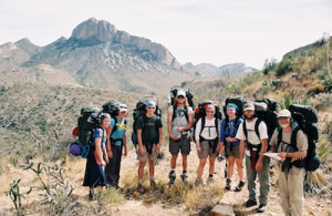 All Creation Worships the Creator