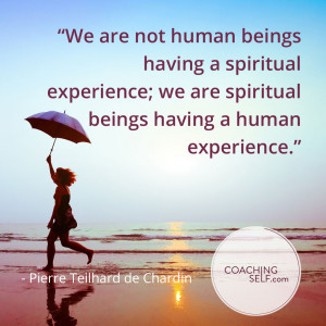 ... having-a-spiritual-experience;-we-are-spiritual-beings-having-a-human